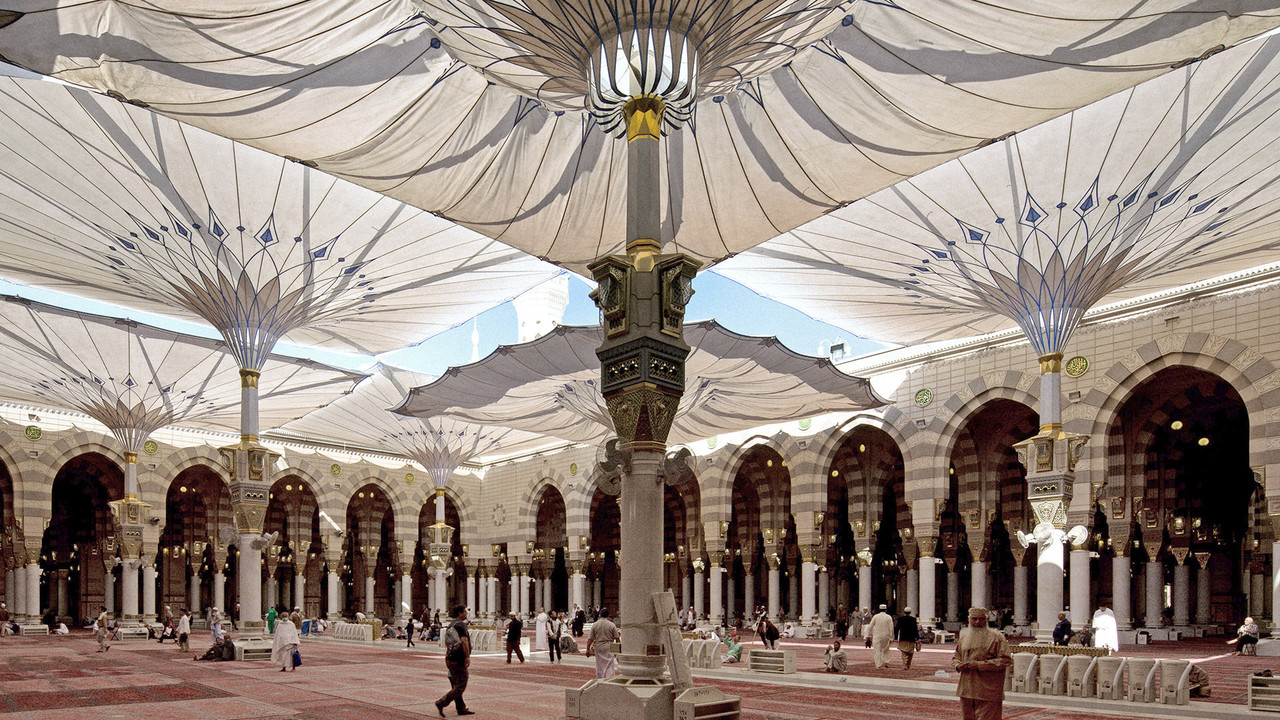 <p style="text-align: center;"><span style="font-size: 30px; font-family: pretendard; color: rgb(255, 255, 255);">RL Rasch Umbrella</span></p>