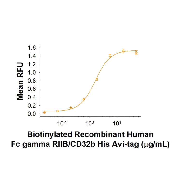 Recombinant Human Fc gamma RIIB/CD32b Av i-tag Protein, CF (50 UG ...