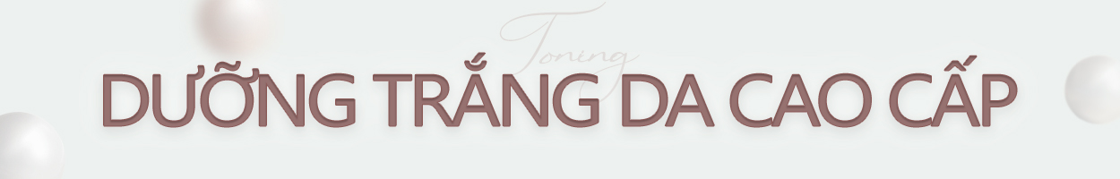 ~24.10.31<br>Không gồm VAT