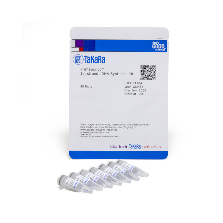 PrimeScript™ 1st strand cDNA Synthesis Kit (6110a*4ea) : Saintone(주)