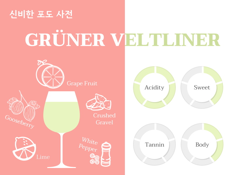 오스트리아의 보석, 그뤼너 벨트리너(Grüner Veltliner) – 신비한 포도 사전 : DRINKS