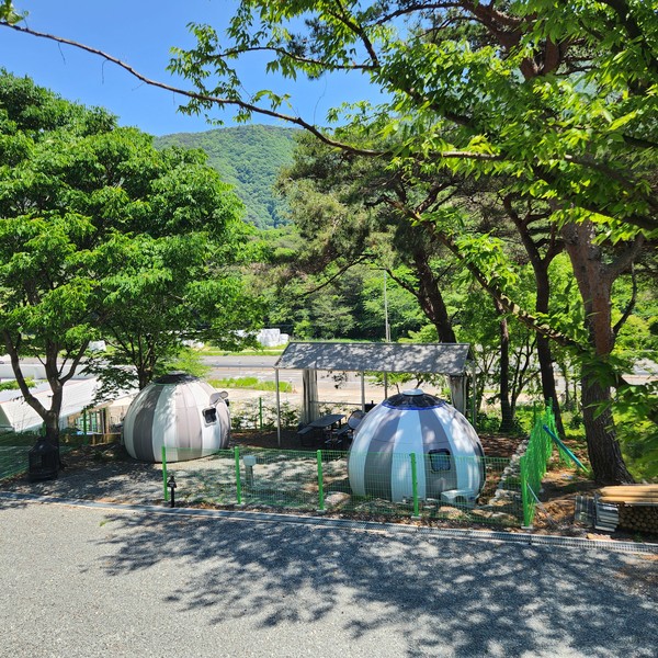 예약 상품 이미지