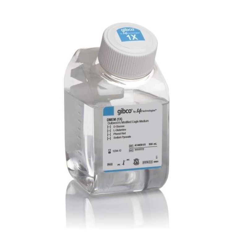 DMEM, low glucose, pyruvate, no glutamine, no phenol red, 1L : Saintone(주)