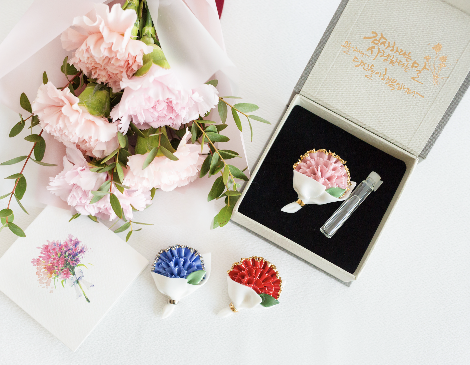 카네이션 사랑 에디션 6