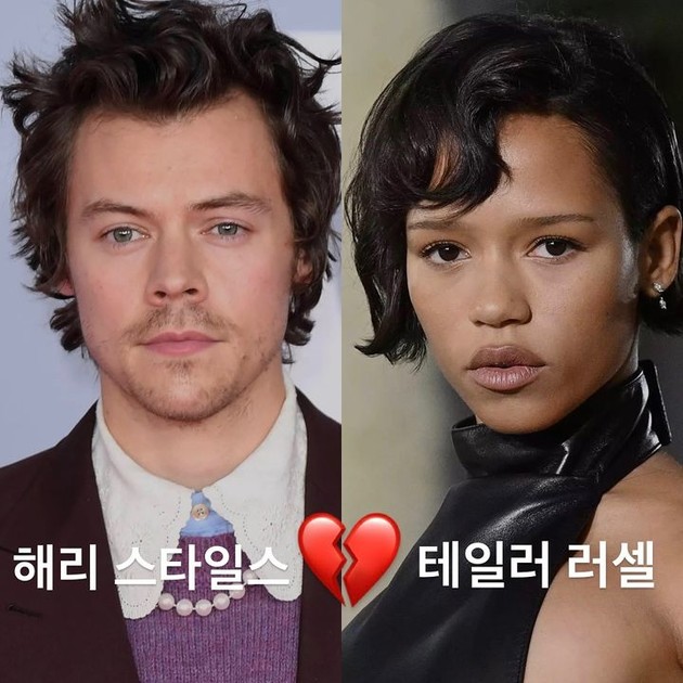 해리 스타일스 & 테일러 러셀 결별? : 데패뉴 | 동물농장