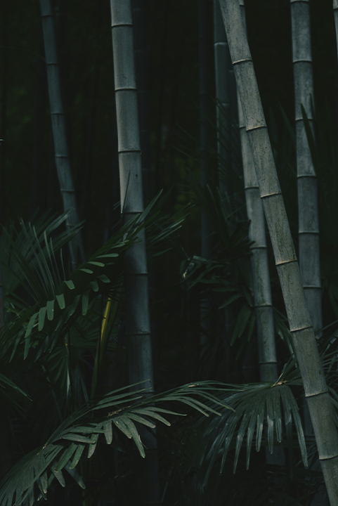 <h4 class="dnimg_tit" style="color: #ffffff;">Material</h4><span class="dnimg_tt" style="color: #ffffff;">지속가능 소재개발</span>