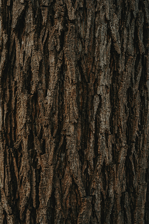 <h4 class="dnimg_tit2">Zero carbon</h4><span class="dnimg_tt2">소비할 수 있는 제품</span>