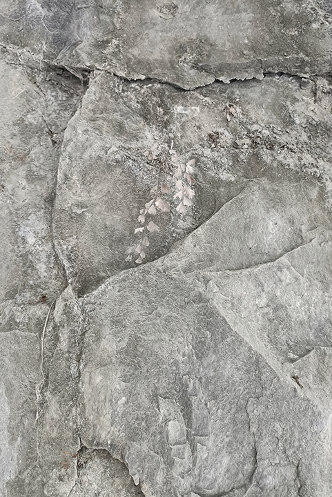 <h4 class="dnimg_tit2">Certified</h4><span class="dnimg_tt2">국제적으로 인증된 소재</span>