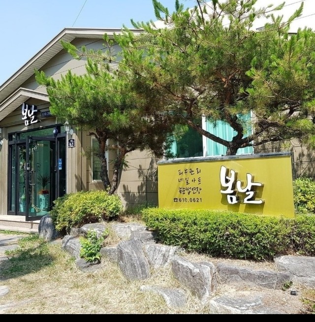 봄 날[경북  포항]