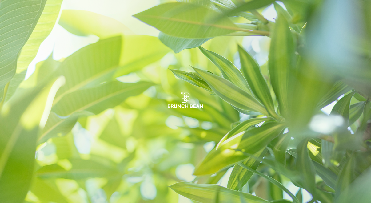 mobile background