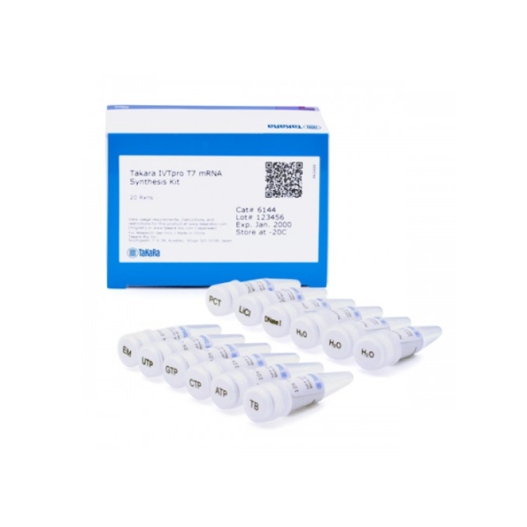 IVTpro™ T7 mRNA Synthesis Kit [20 Rxns] : Saintone(주)