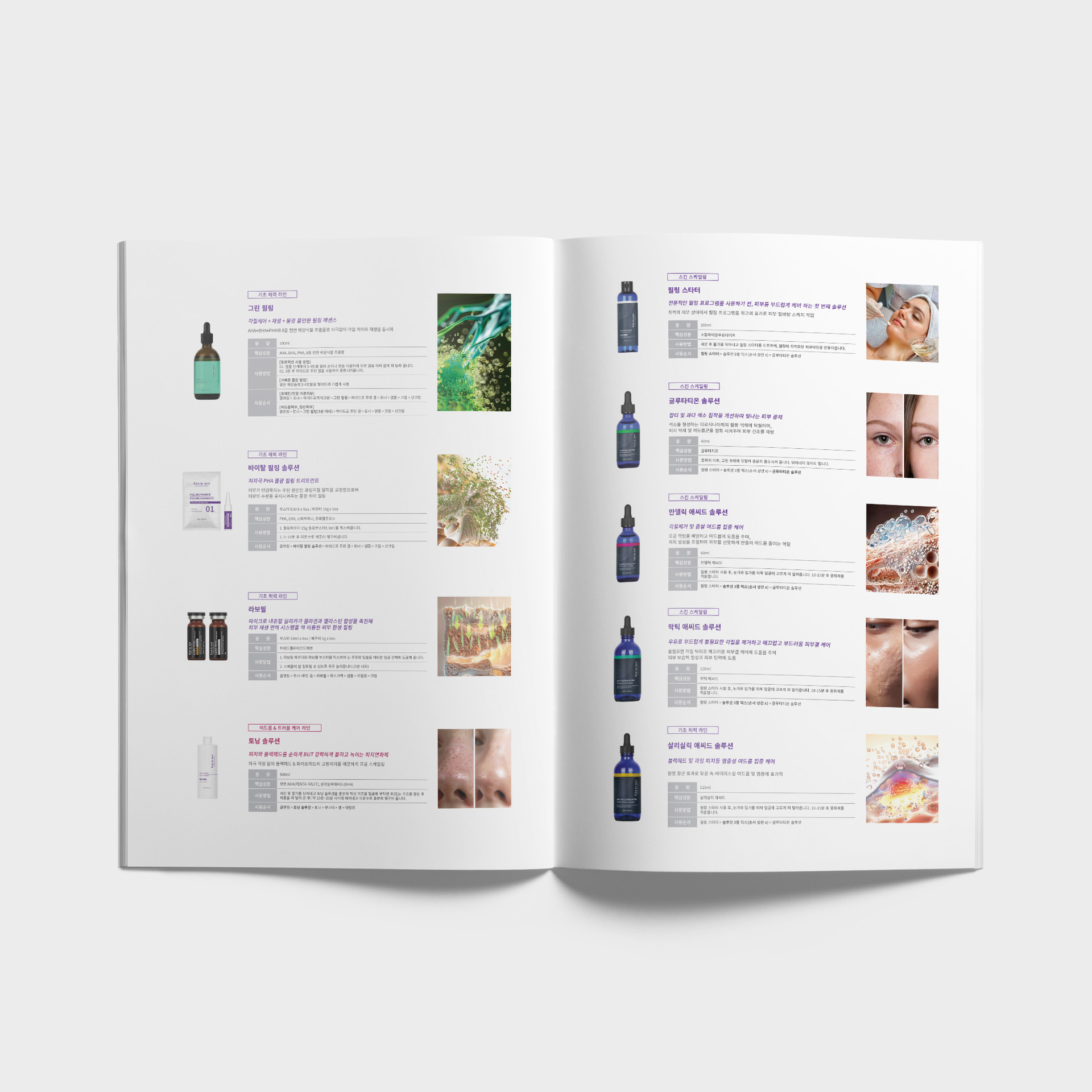 Brochure 6