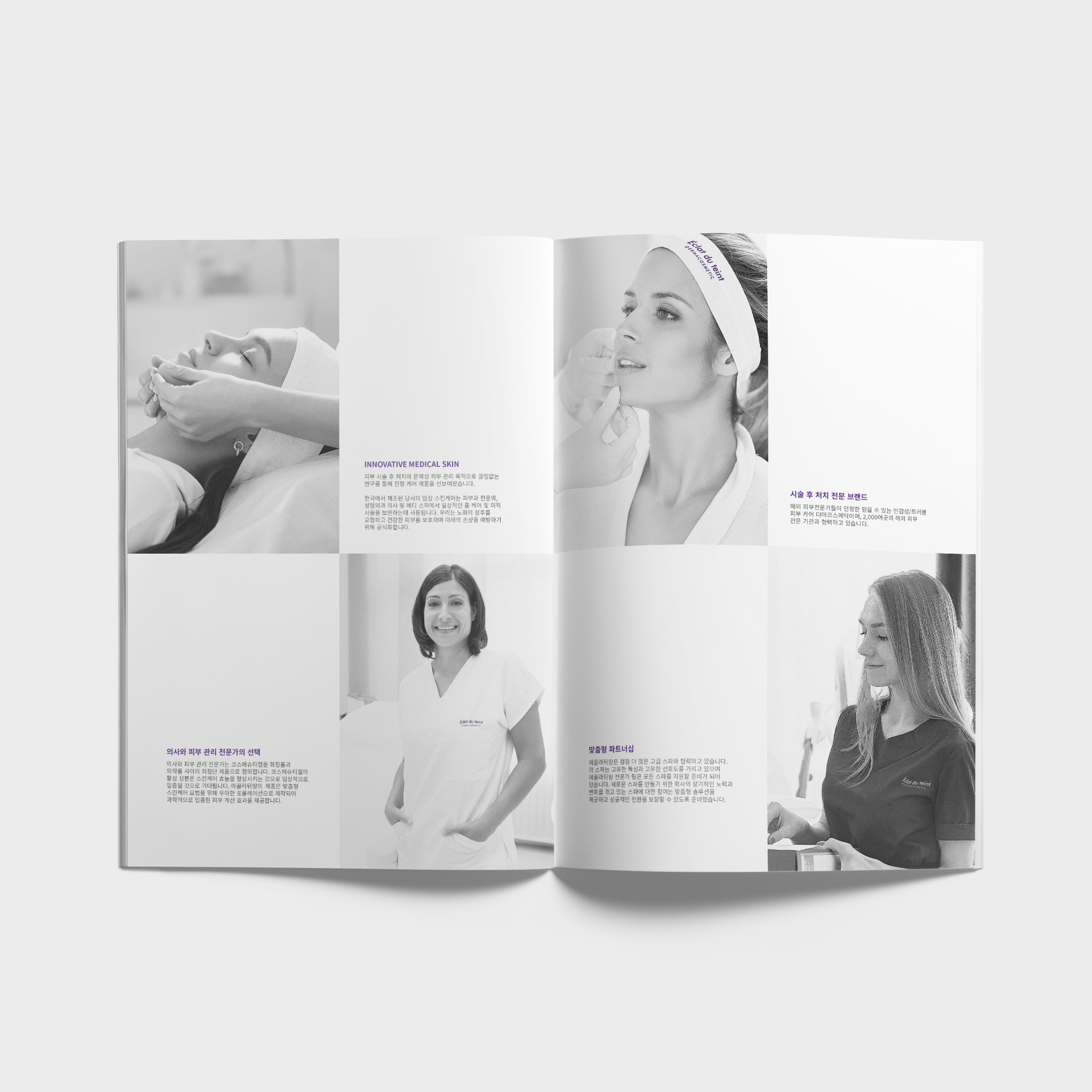 Brochure 3