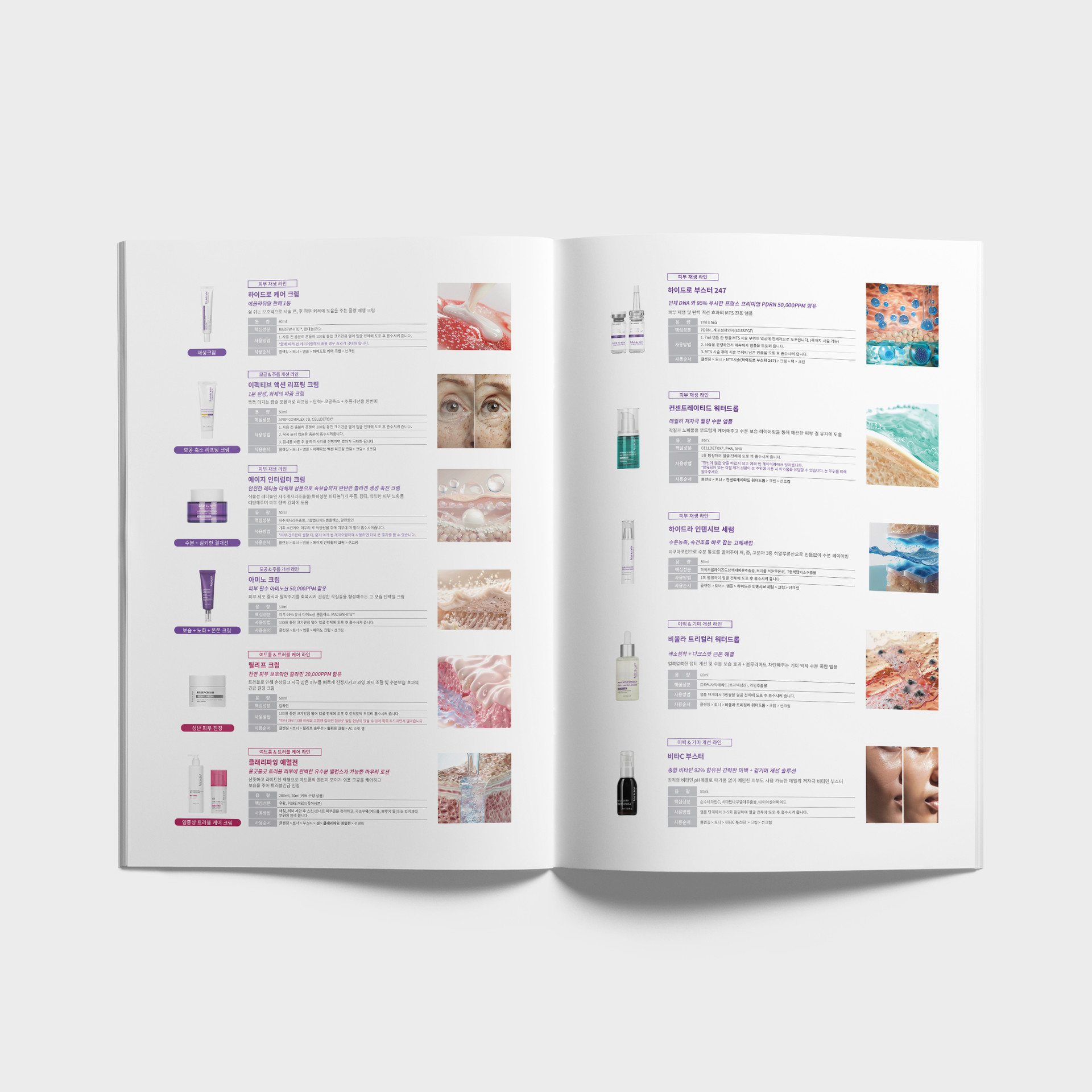 Brochure 7