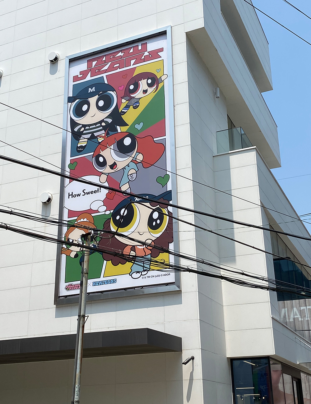 식물을기르기엔난너무게을러 식기난게 플랜테리어 조화나무 페이크트리 팝업 뉴진스