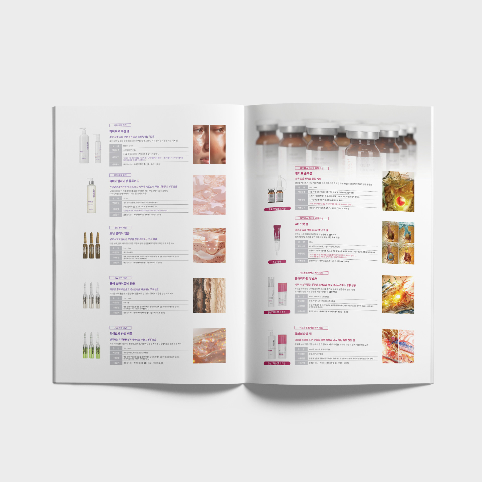 Brochure 8
