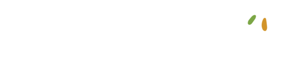 효자동닭꼬치