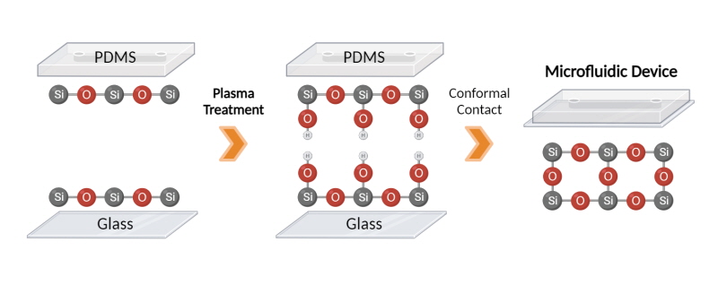 PDMS 본딩 & 활성화 | 플라솔(주)