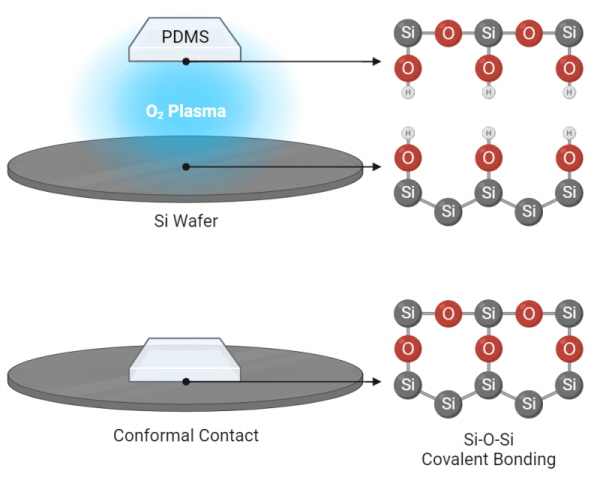 PDMS 본딩 & 활성화 | 플라솔(주)