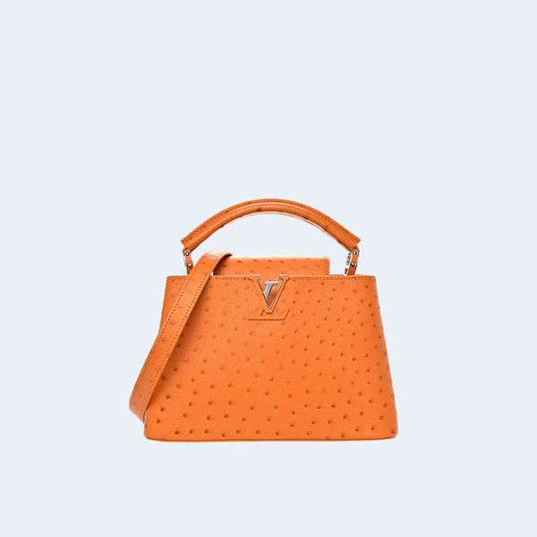 LOUIS VUITTON 루이비통 가방 루이비통 타조 카퓌신 BB M93483