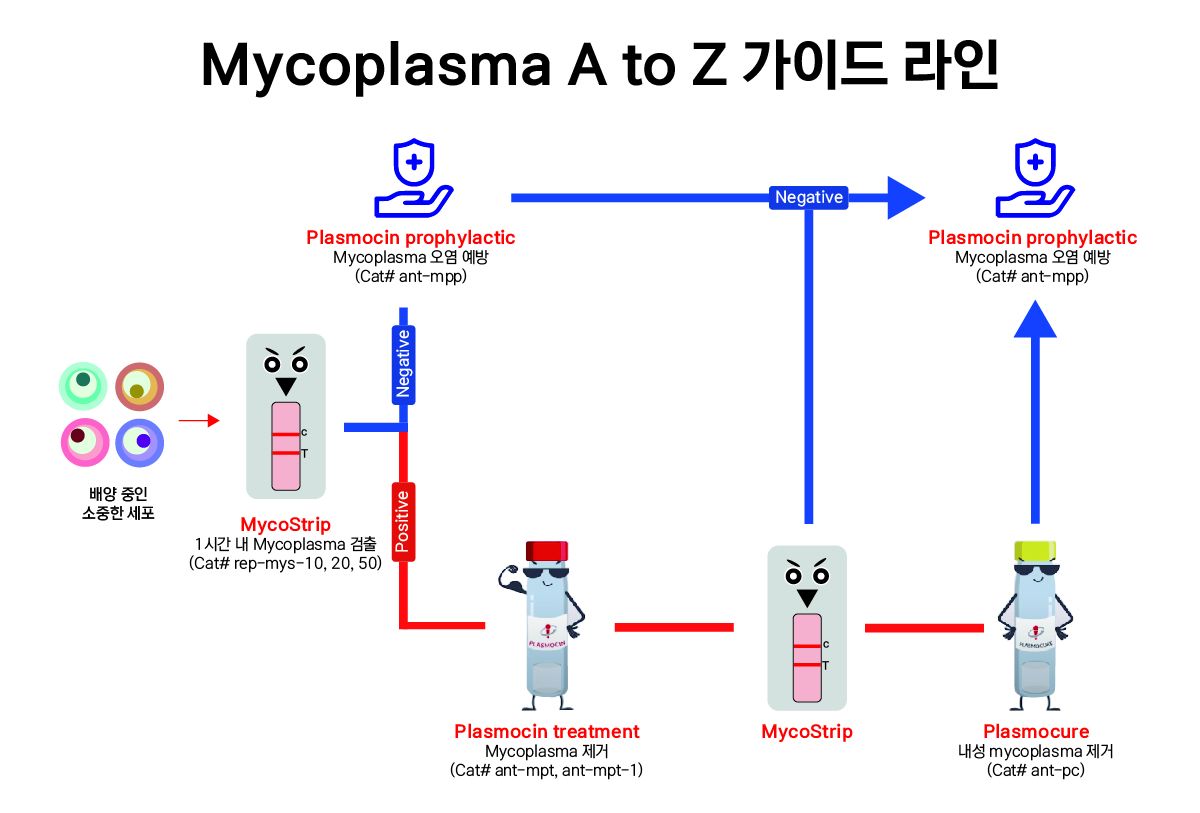[InvivoGen] Mycoplasma 오염 관리 가이드 라인 : Invivogen 제품 소개