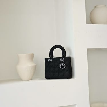 DIOR 디올 Lady 스몰 백