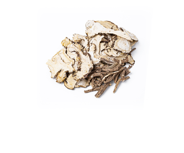 <span style="background-color: #f4f4f4;display:block;padding:14px 0;"><b>당귀</b></span>