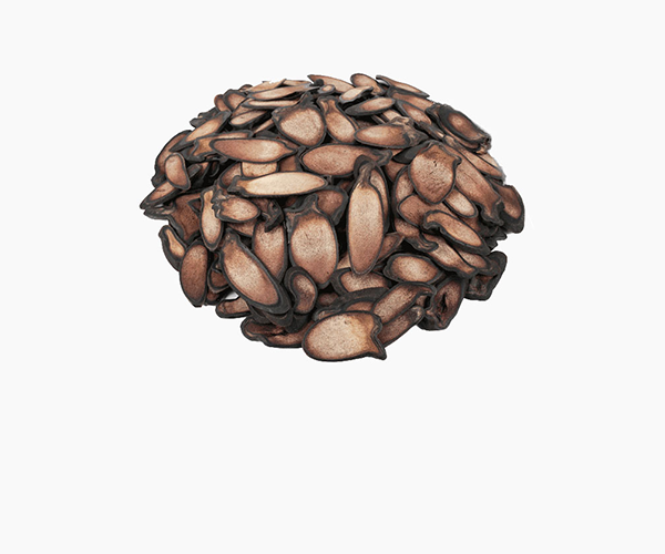 <span style="background-color: #f4f4f4;display:block;padding:14px 0;"><b>녹용</b></span>