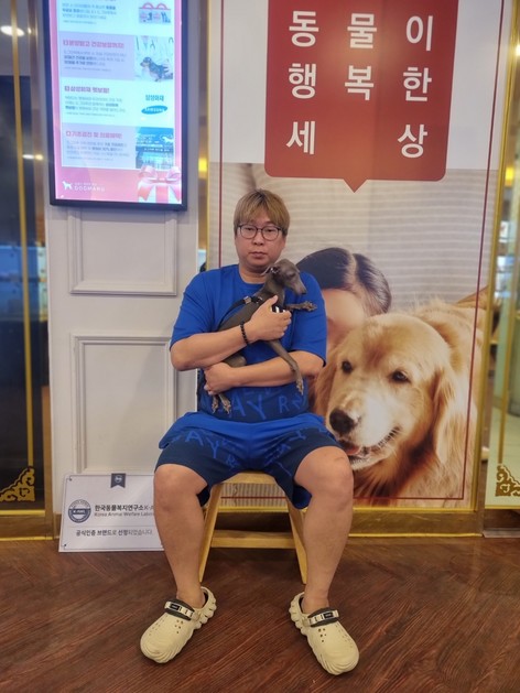 이탈리안그레이하운드 이안 아메리칸코카스파니엘 꼬동 오드아이고양이 가필드고양이 그레이트피레니즈 말티푸성격 아기강아지 다리짧은강아지 ...