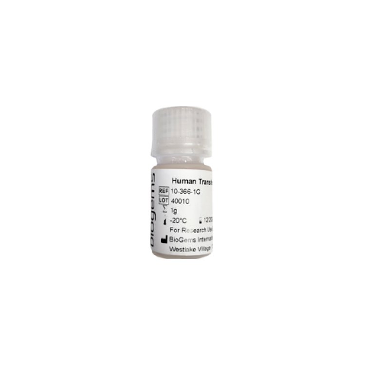 Recombinant Human Transferrin 1g : Saintone(주)