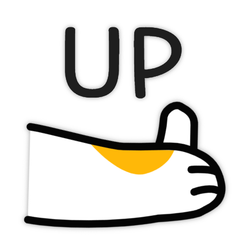 Scroll to top