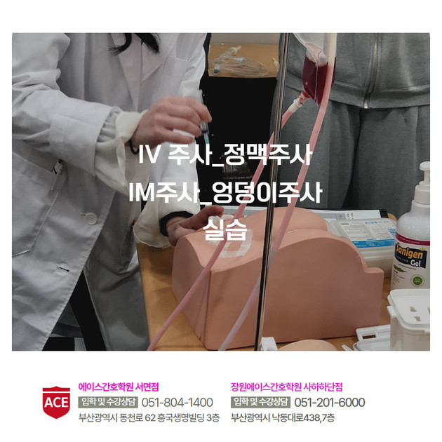 IV주사_정맥주사/IM주사_엉덩이주사 실습!! : 부산 에이스간호학원 서면점ㅣ사하하단점