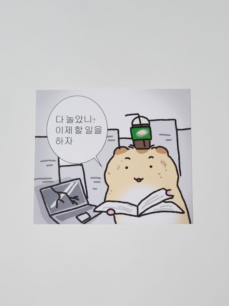 비옥 한 땅