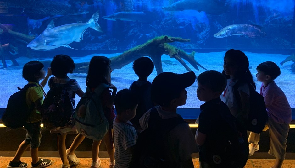 Reggio International Academy