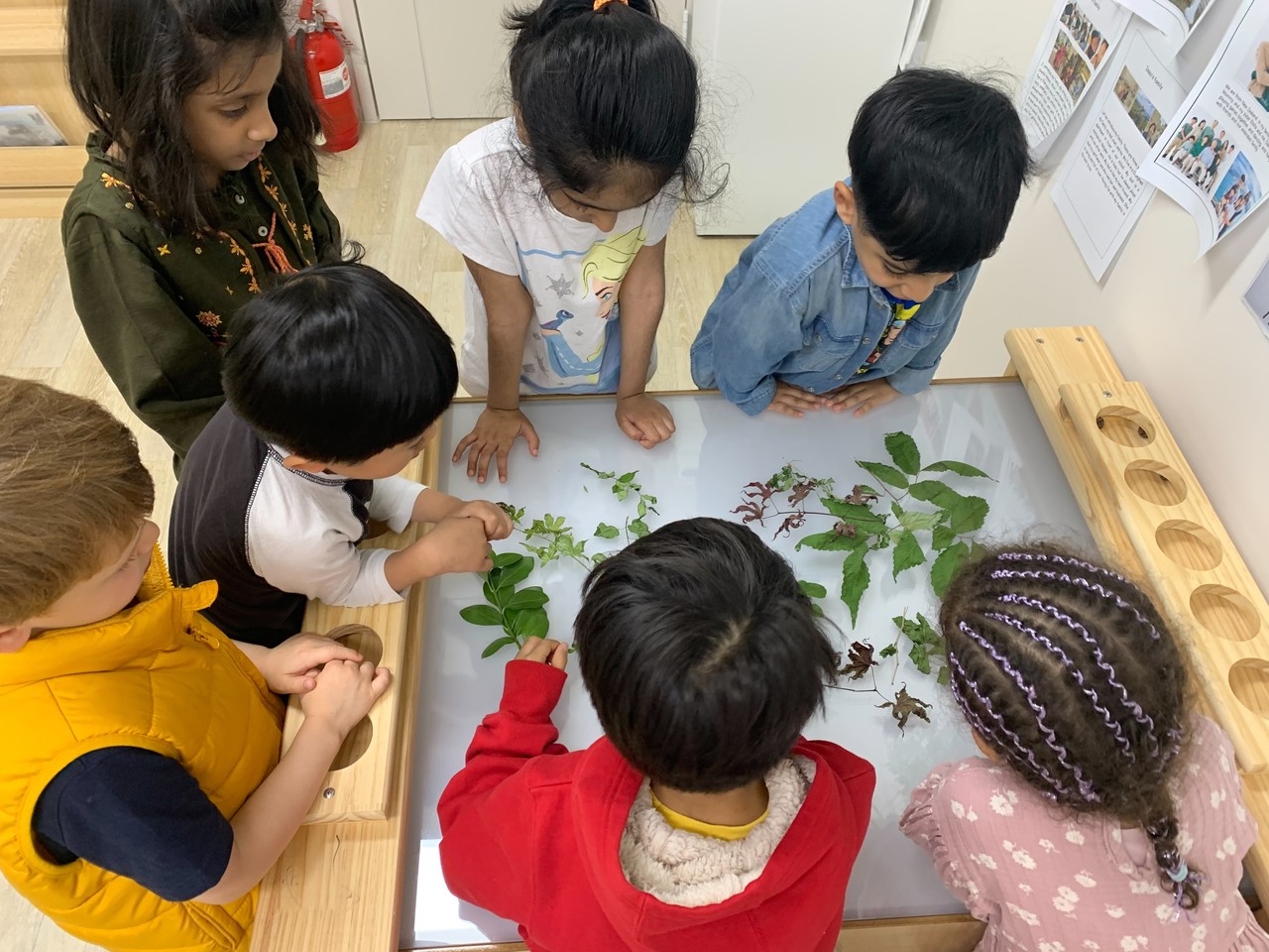 Reggio International Academy