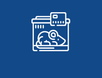 동물 모델 제작 서비스