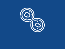 세포 기반 서비스