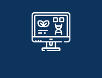 약물 동태/분석평가