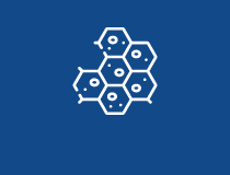 조직병리학 서비스