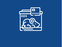 동물 모델 제작 서비스