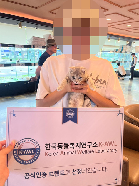 브리,아메숏 믹스 레미 아메리칸코카스파니엘 꼬동 오드아이고양이 가필드고양이 그레이트피레니즈 말티푸성격 아기강아지 다리짧은강아지 ...