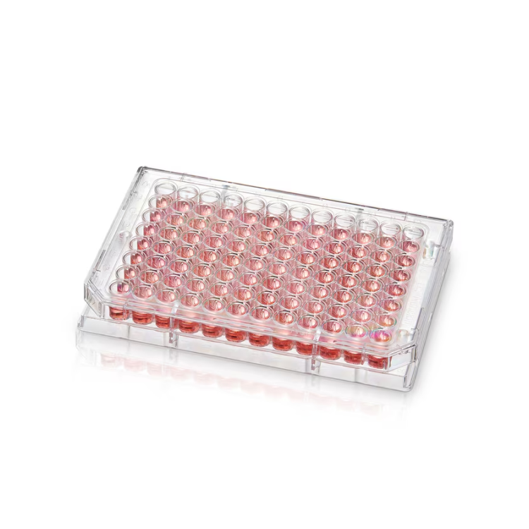 96 Well Conical (V) Bottom Plate, Non-Treated Surface, Case of 50 ...