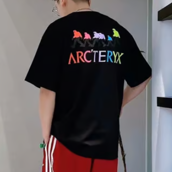 ARC'TERYX 아크테릭스 컬러 백로고 반팔 티셔츠