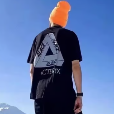 ARC'TERYX PALACE 아크테릭스X팔라스 반팔 티셔츠