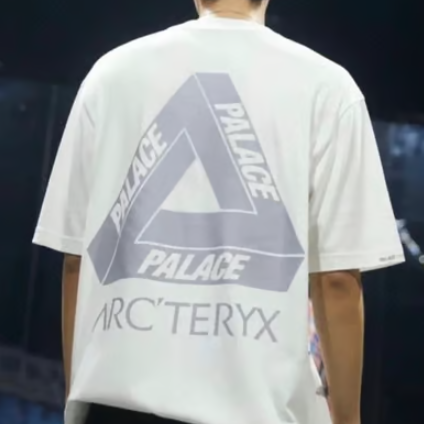 ARC'TERYX PALACE 아크테릭스X팔라스 반팔 티셔츠