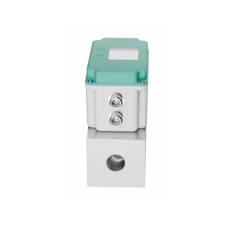 CS INSTRUMENTS VA 525 압축 공기 및 질소용 소형 인라인 유량계 : 지니어스인더스트리 - 대한민국 No.1 산업 ...