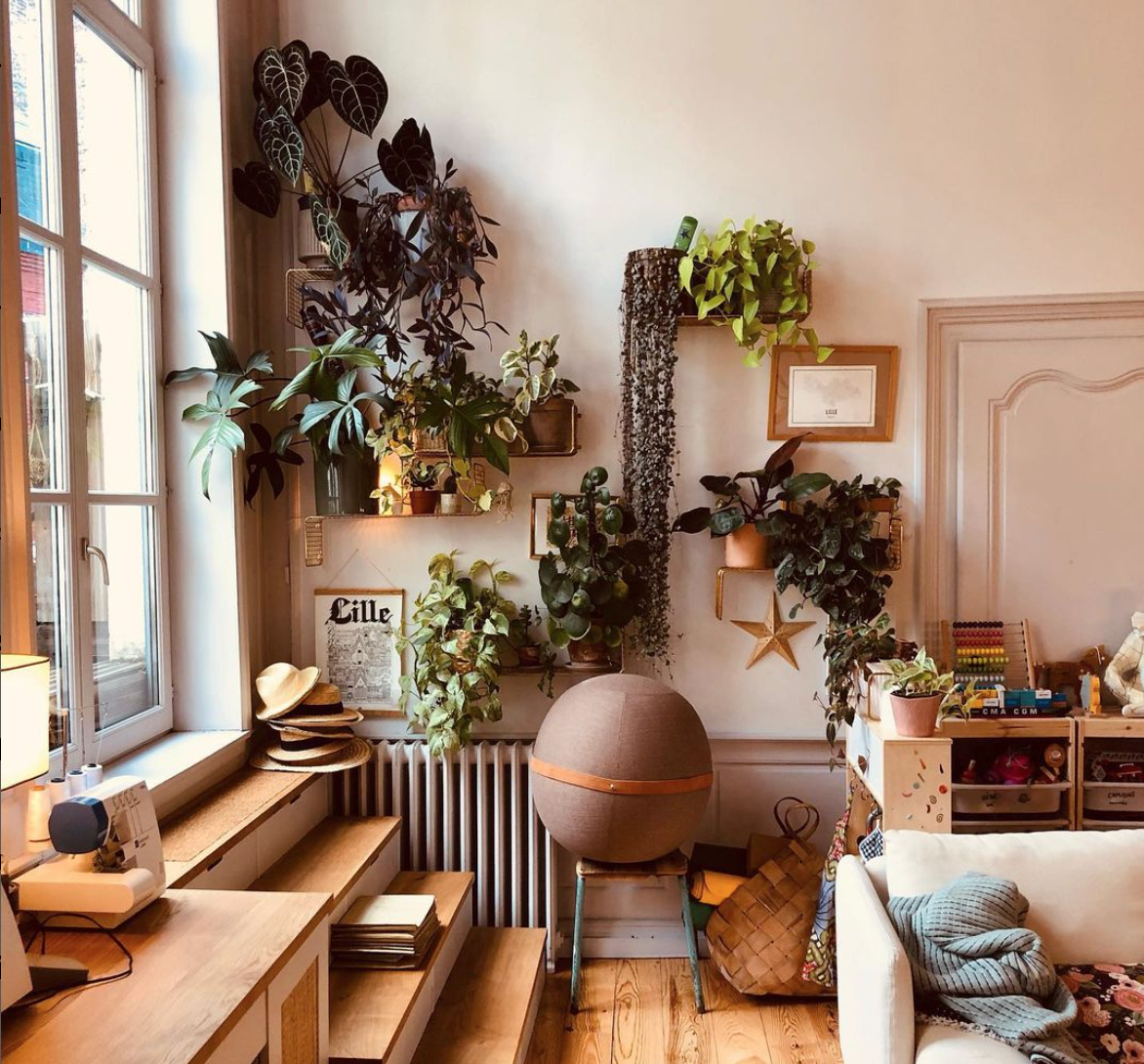 <p style="text-align:left; font-size:16px; margin-top:26px;">BLOON ORIGINAL IVORY<br><span style="color:#666;">₩ 320,000</span></p>