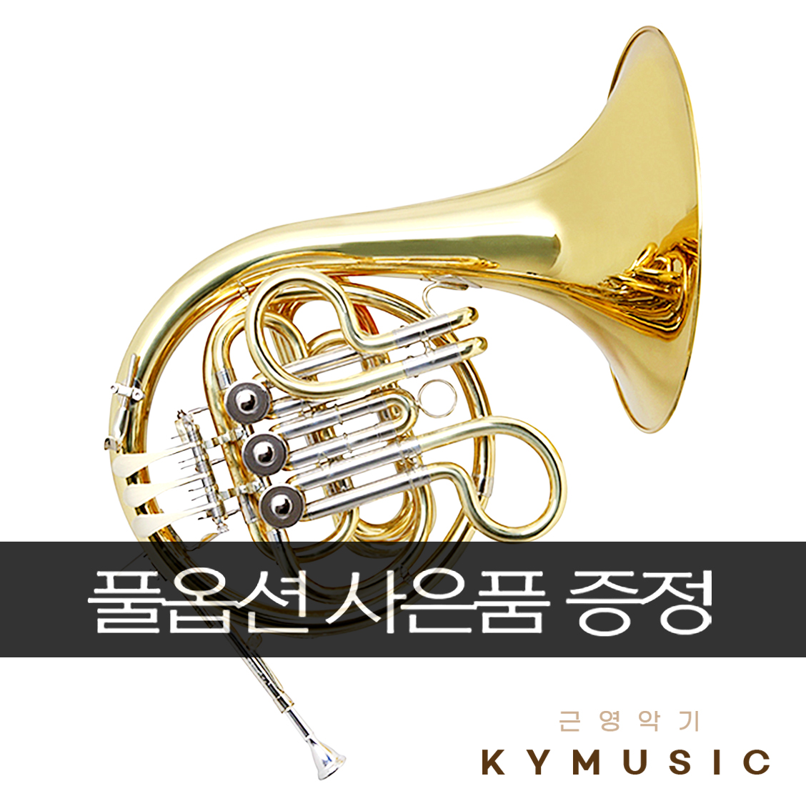 홀튼 HR650F F 싱글 프렌치호른 : 근영악기