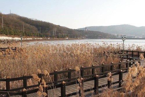 출처: 분당율동공원