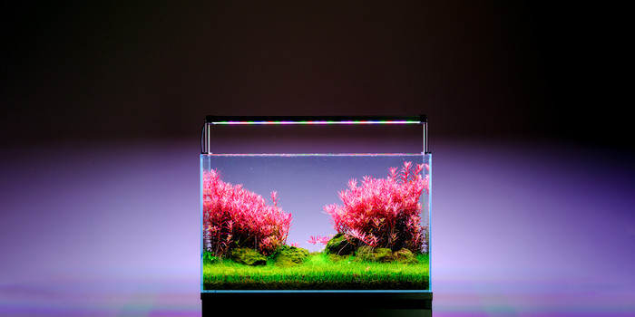 TWIN STAR LIGHT 600S LEDライト Twinstar LED - S Series Aquarium Light Fixture — Buce Plant